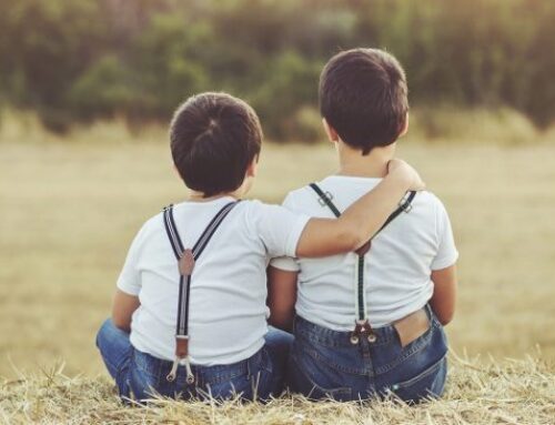 Giornata di Formazione | “Legami orizzontali Il lavoro con il sottosistema fraterno nella clinica familiare”  Relatore Dr. Davide Matricardi